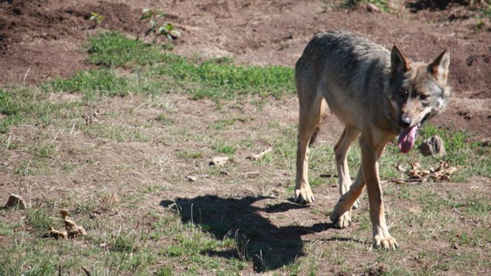 © M.-F. Malterre / GFA