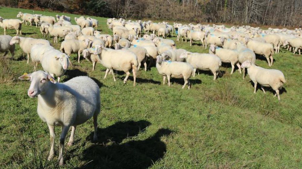 © M.-F. Malterre/GFA