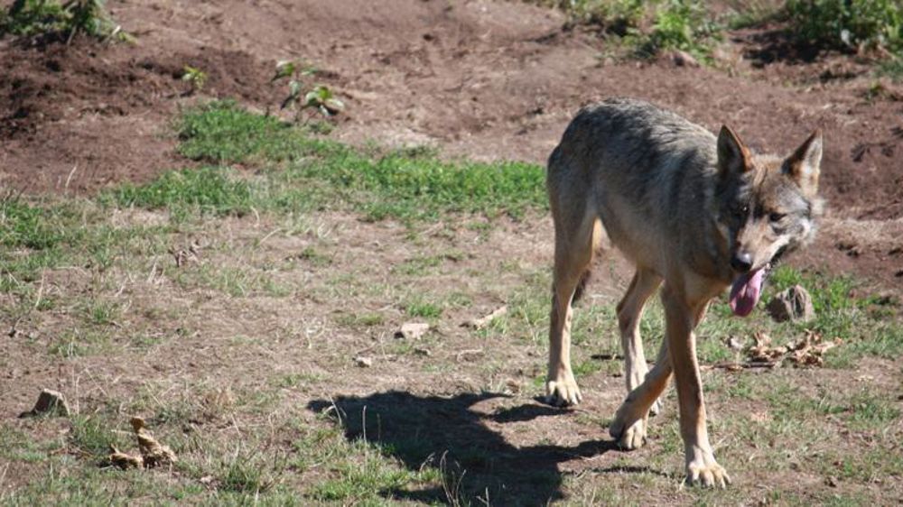 © M.-F. Malterre/GFA