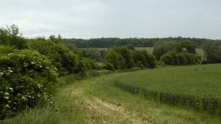Les bonnes pratiques environnementales ont un coût Les bonnes pratiques environnementales ont un coût