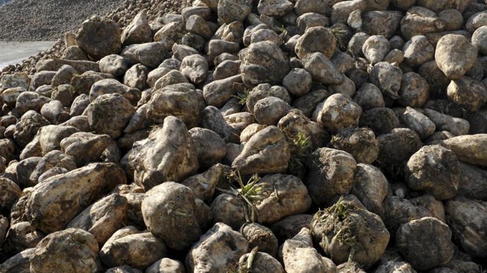 © Cédric Faimali/GFA