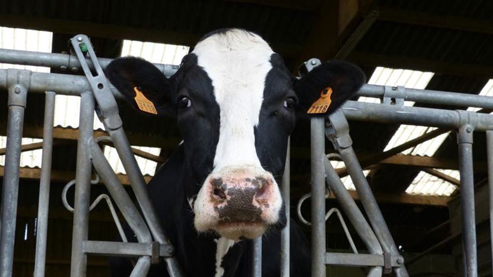 Évacuer l’excédent en donnant aux réfugiés