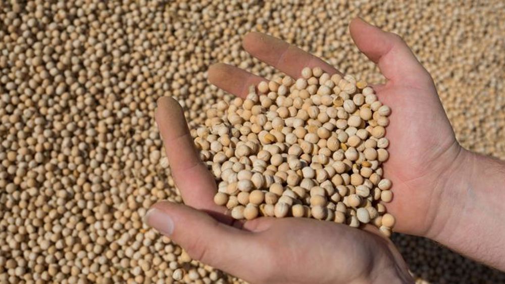 Industriels et État s’engagent pour faire de la France le leader des protéines