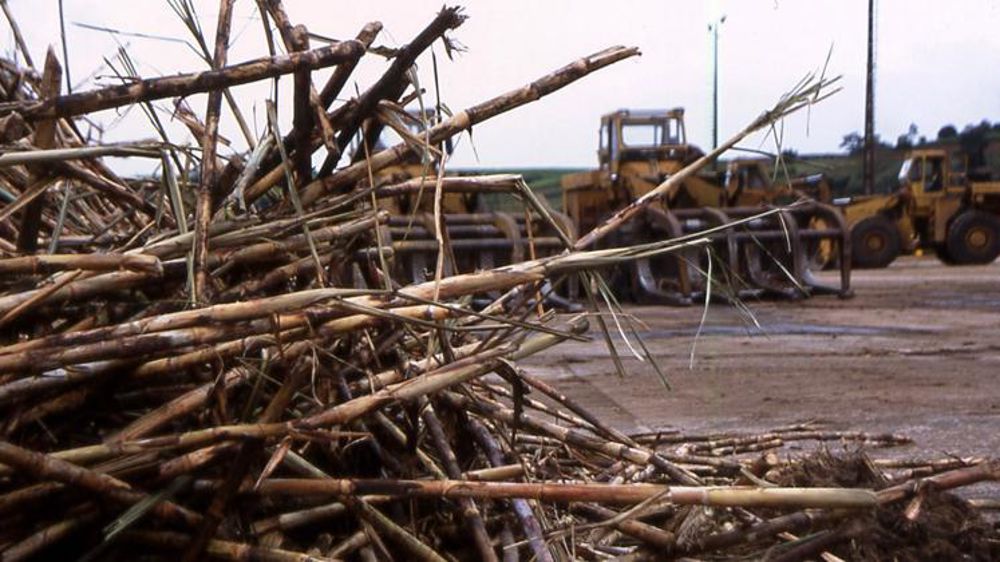 Usine de Pirracicabia à São Paulo. © C. Martin