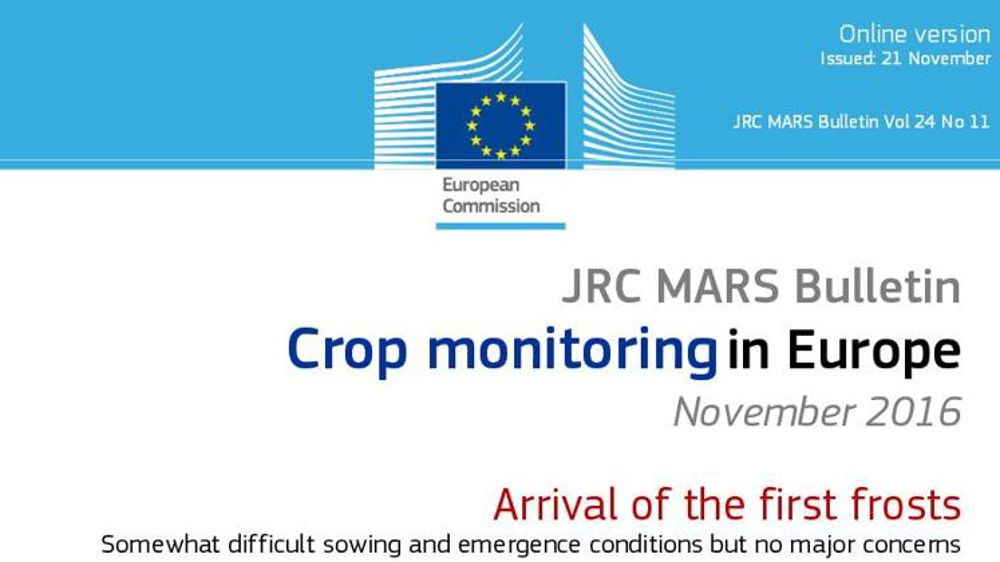 Les semis d’automne affectés par la sécheresse