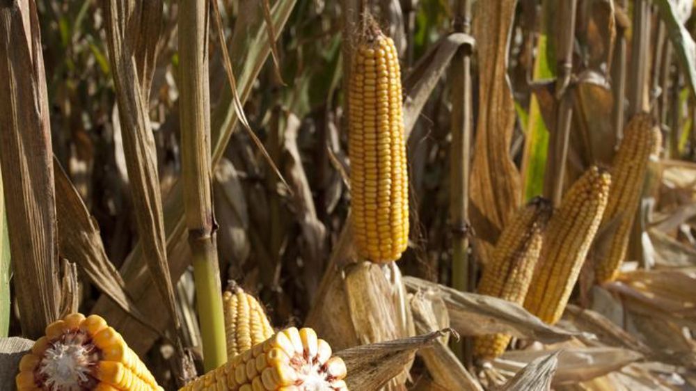 Oppositions à la baisse progressive de la première génération d’ici à 2030