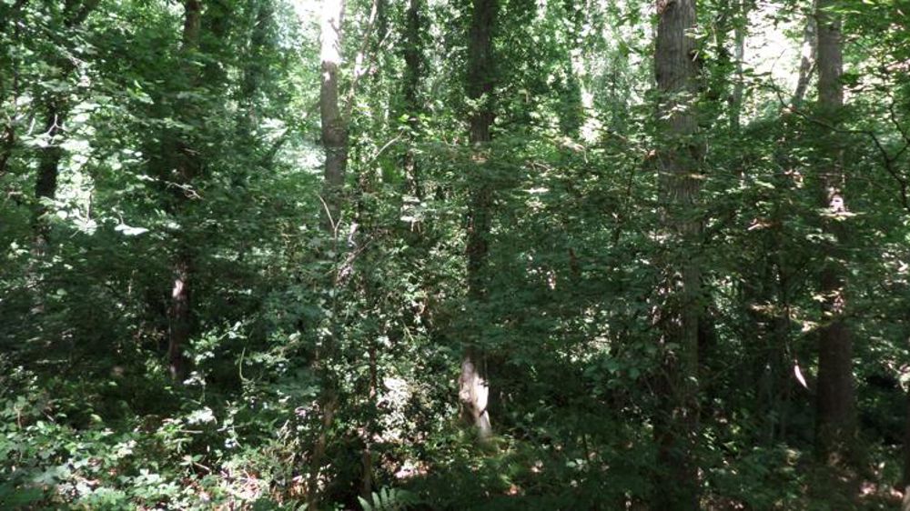 Nouveau coup de rabot en vue pour les chambres