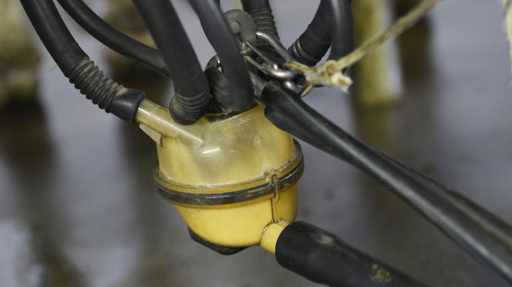 Le marché des produits laitiers s’améliore