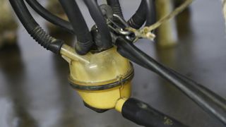 Le marché des produits laitiers s’améliore Le marché des produits laitiers s’améliore