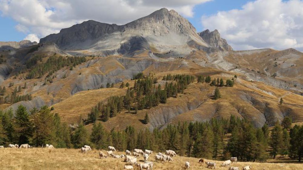 © M.-F. Malterre/GFA