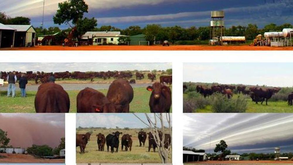 © Photo : Kidman.com.au