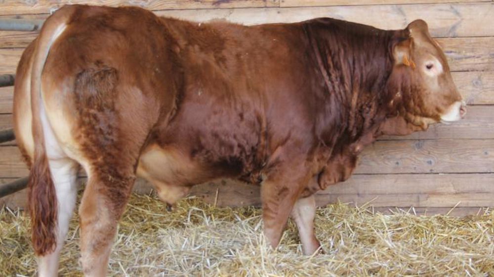 Une deuxième vente rassurante à Lanaud