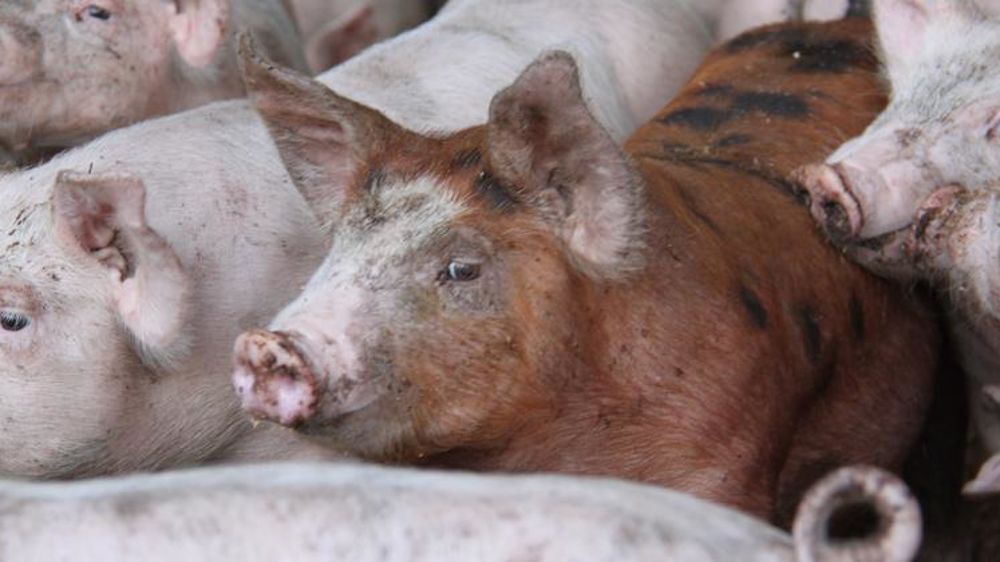 © A. Cardinaux/GFA