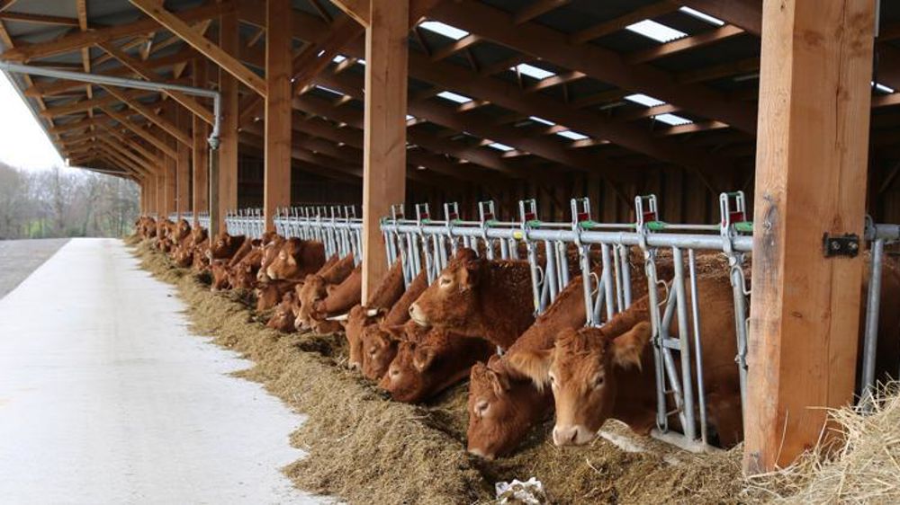 © M.-F. Malterre/GFA