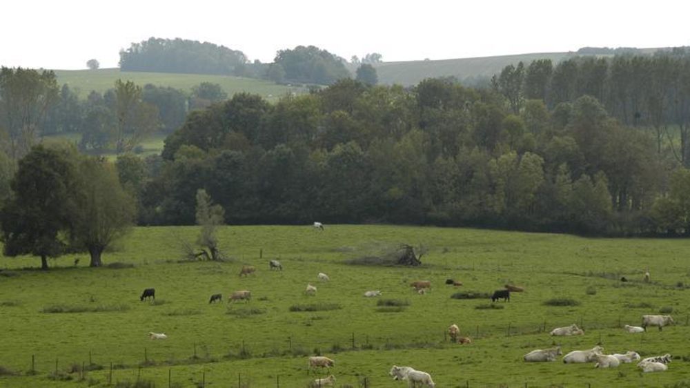 © Pascal Crapon/GFA