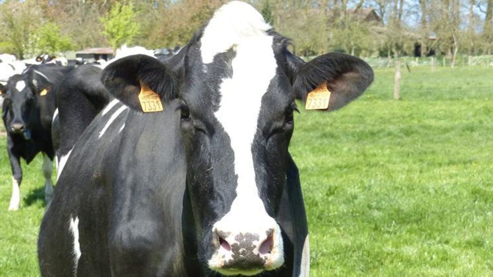 © Hélène Chaligne/GFA