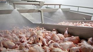 L’eau dans la viande sous surveillance L’eau dans la viande sous surveillance