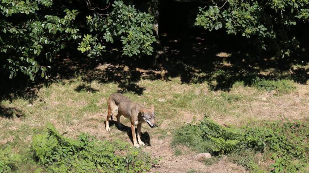 © M.-F. Malterre/GFA