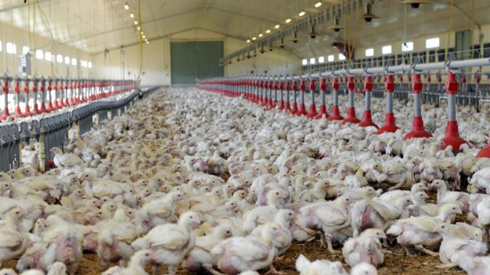 © Cédric Faimali/GFA