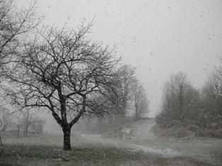neige froid brouillard