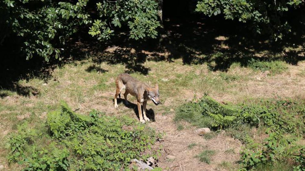 © M.-F. Malterre/GFA