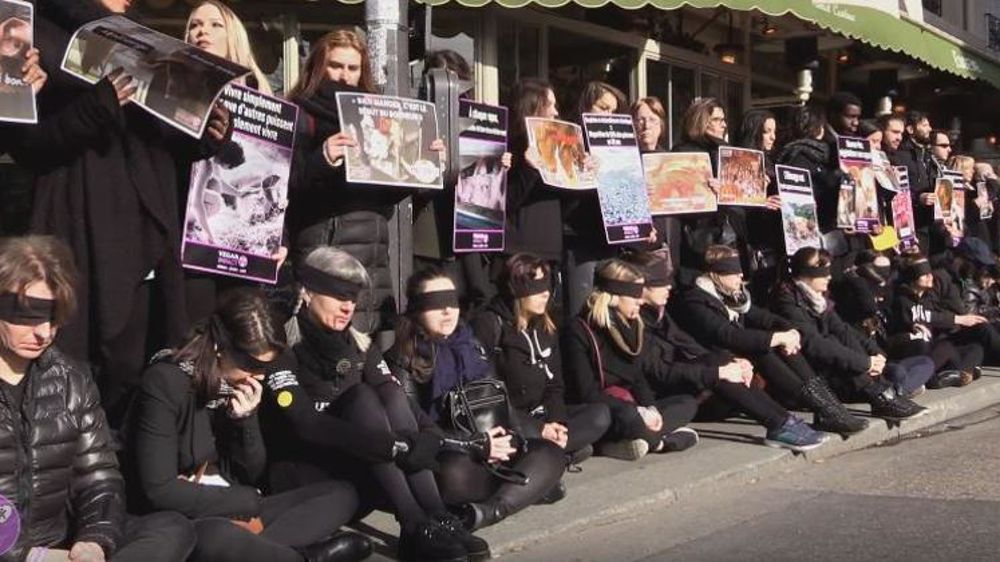 © YouTube Vegan impact