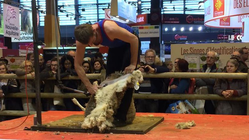 © M.-F. Malterre/GFA