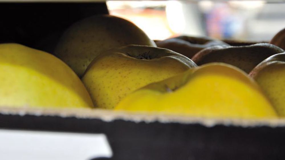 © Philippe Dufour/Interfel