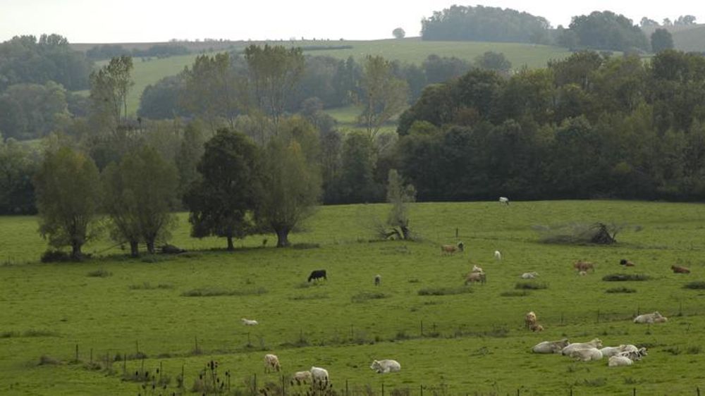 © Pascal Crapon/GFA