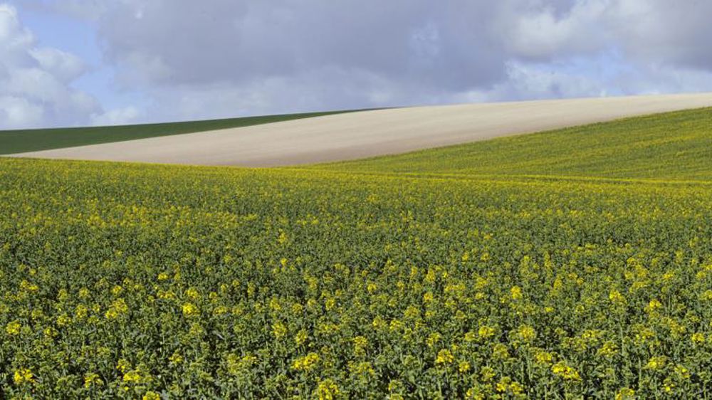 Recul des semis de 7 % en France