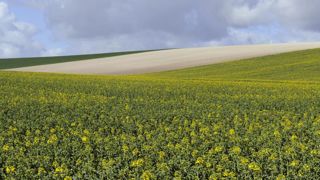 Recul des semis de 7 % en France Recul des semis de 7 % en France