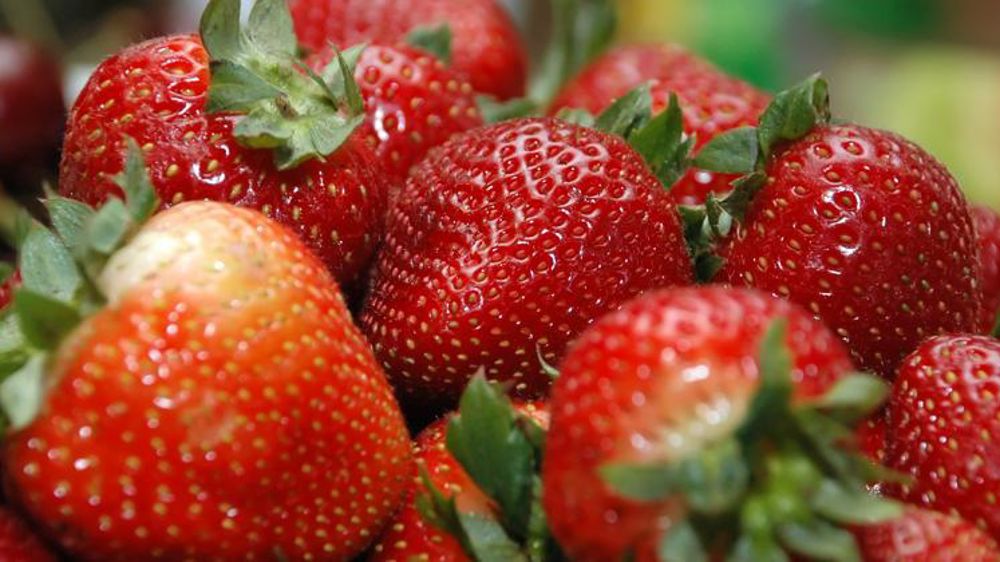 © Jon ‘ ShakataGaNai’Davis/Wikimedia Commons