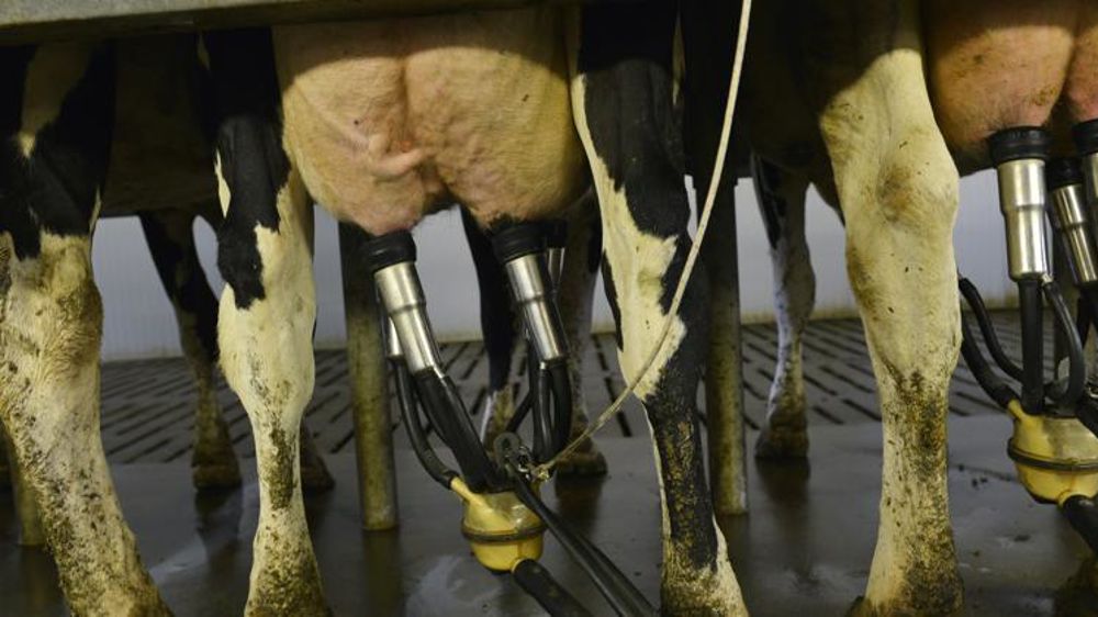 © Cédric Faimali/GFA