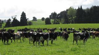 Carole Hiet/GFA Carole Hiet/GFA