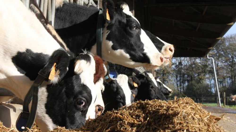 © Hélène Chaligne/GFA