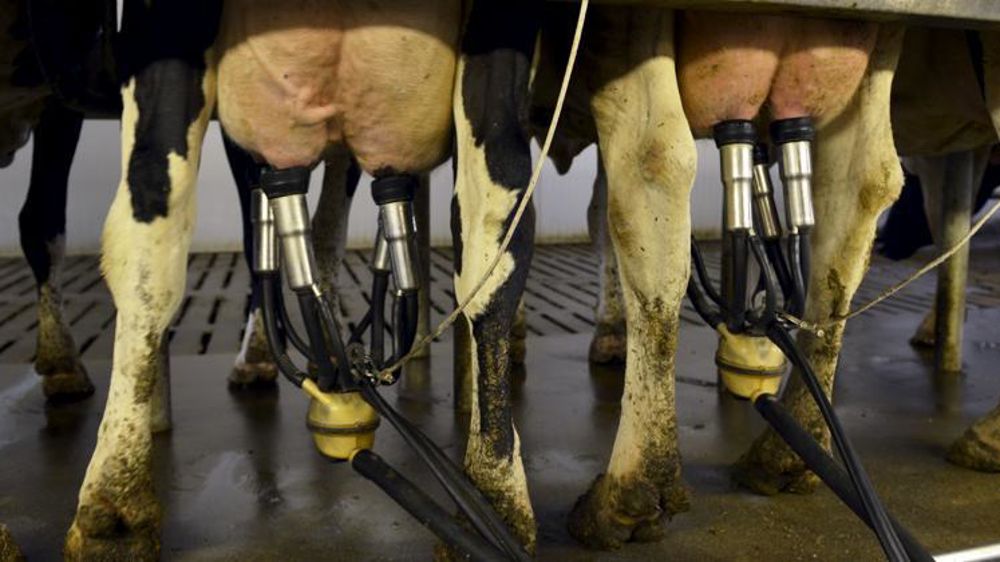 © Cédric Faimali/GFA