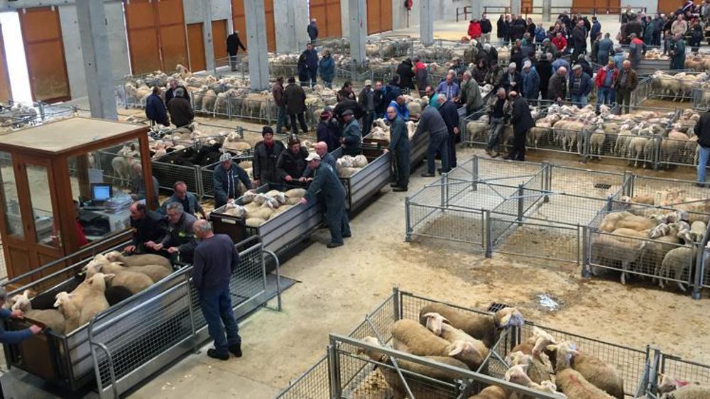 © V. Scarlakens/GFA