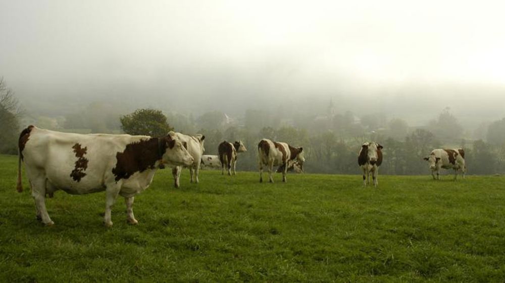 Un appui technique et financier pour l’éradication