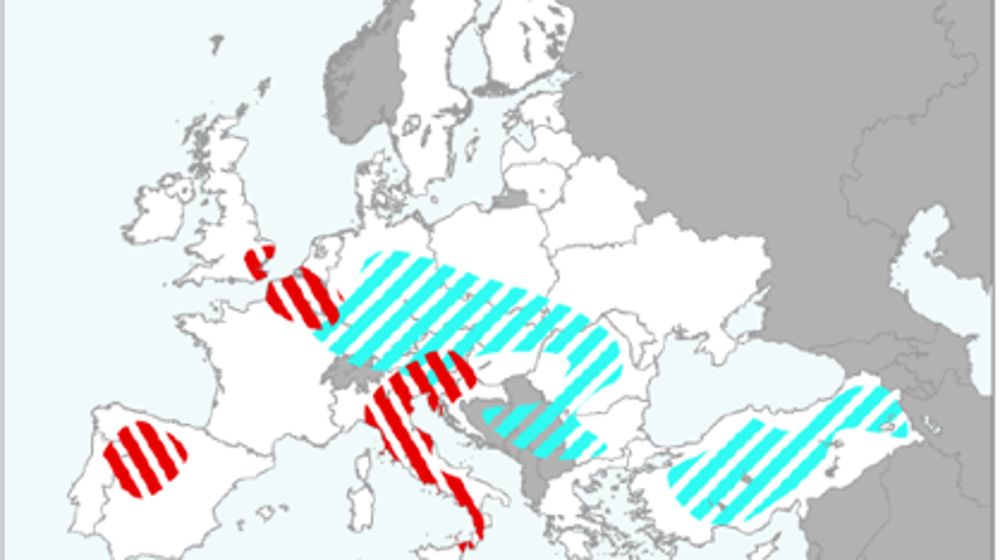 Perspectives « assez positives » pour les céréales d’hiver