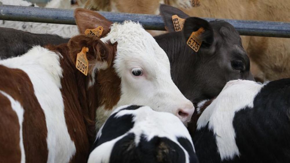 © H. Chaligne / GFA