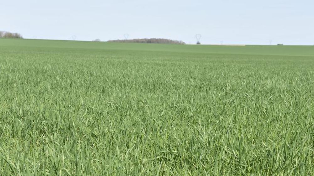 © Cédric Faimali/GFA