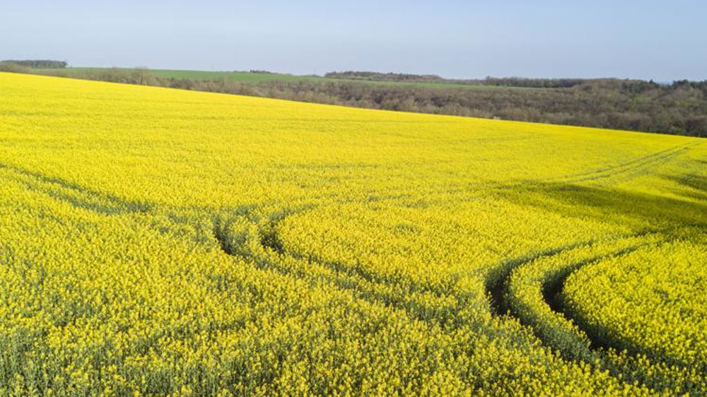 Des prévisions de rendements en hausse