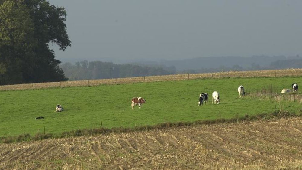 © Pascal Crapon/GFA