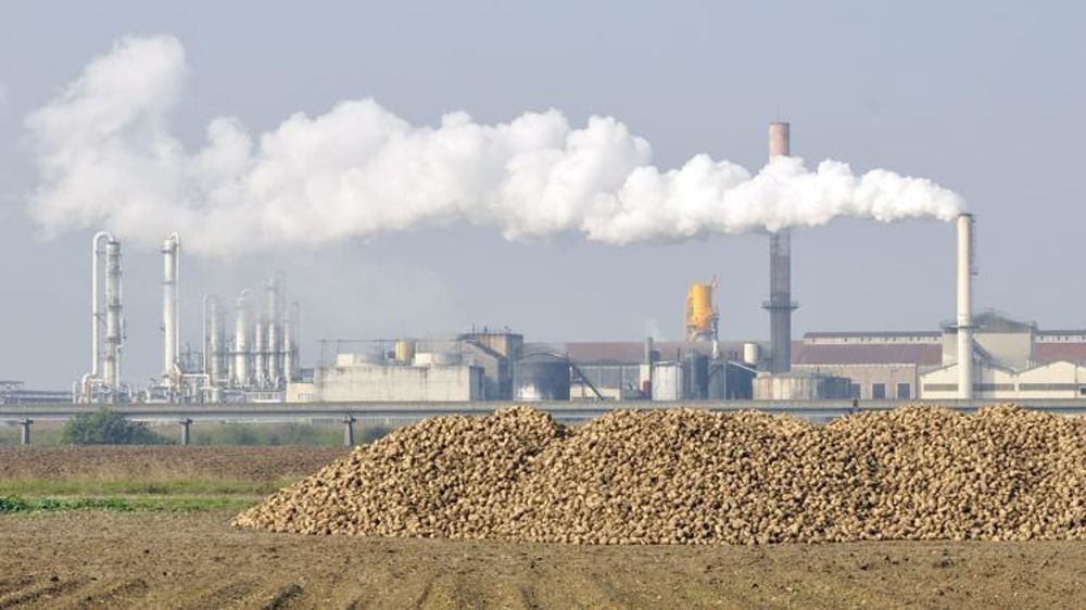 © Philippe Montigny