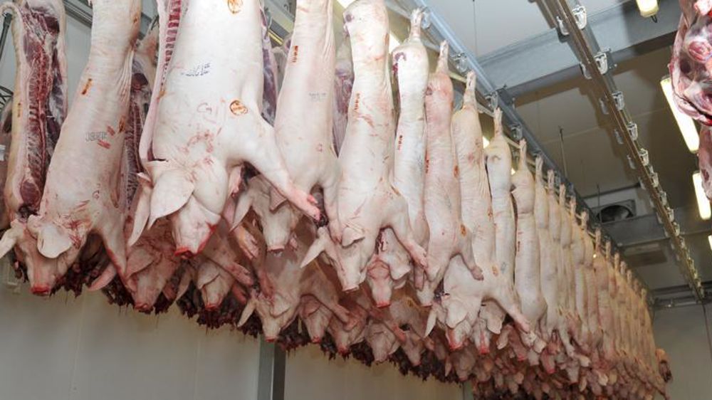 © Cédric Faimali/GFA