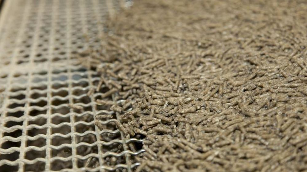 © Sébastien Champion