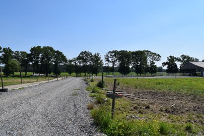 Le chemin qui mène de la stabulation (voir photo ci-dessus) à la salle de traite a été empierré sur 200 mètres environ. © Anne Mabire