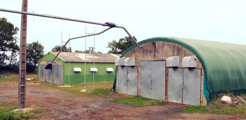 De juin à septembre, les bâtiments font l’objet d’un grand nettoyage et d’un long vide sanitaire, qui permettront d’accueillir les 13 000 à 14 000 chevreaux de la saison suivante. © M. Guillemaud