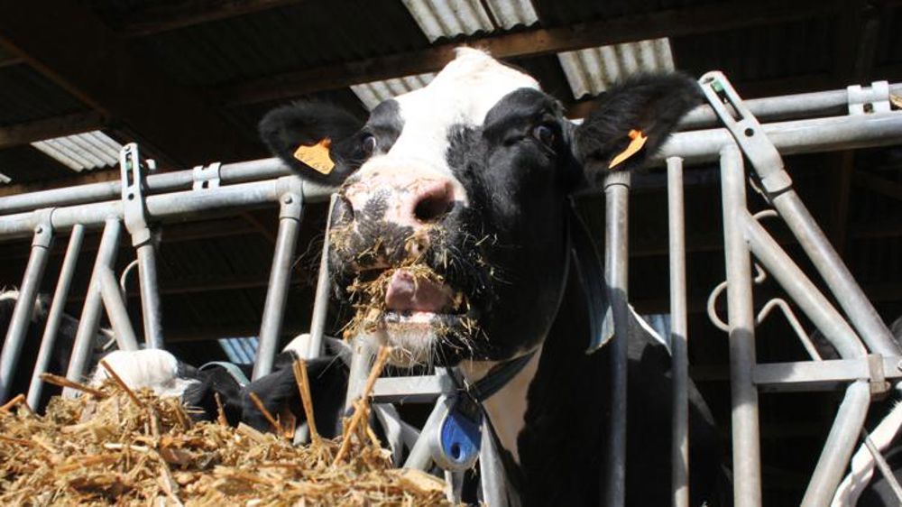 La production baisse de 4,9 % depuis le début de l’année 