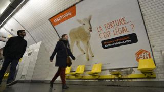 Du combat au débat, petite leçon de philosophie Du combat au débat, petite leçon de philosophie